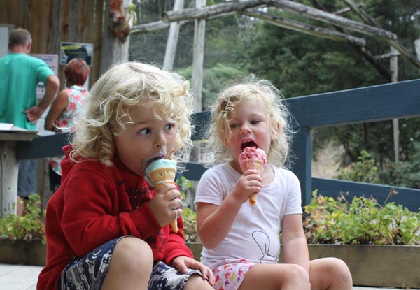 One General Admission to The Waterworks Coromandel - Option for a Family Pass