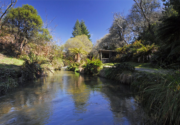 Family of Five Entry to The Buried Village incl. Award-Winning Museum, Archaeological Sites & Te Wairoa Waterfall