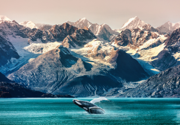 Geishas & Glaciers - Per Person, Twin Share 19-Night Adventure with Silversea Cruises incl. 4-Night Hotel Stay in Tokyo, 14-Night Alaska Cruise & International Flights - Options for Veranda Suite or Penthouse Suite