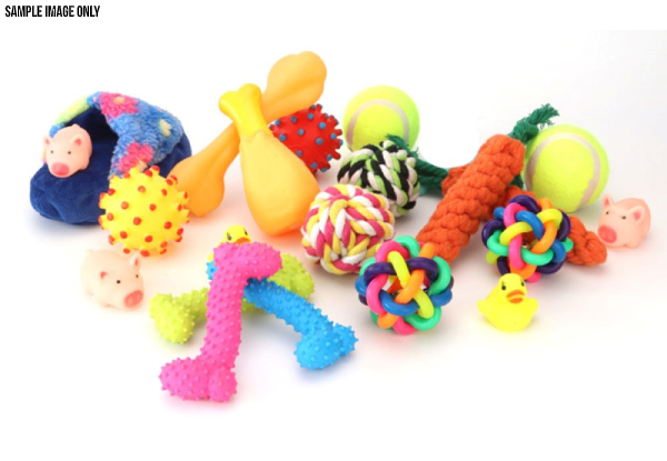 21-Piece Assorted Dog Toys Set