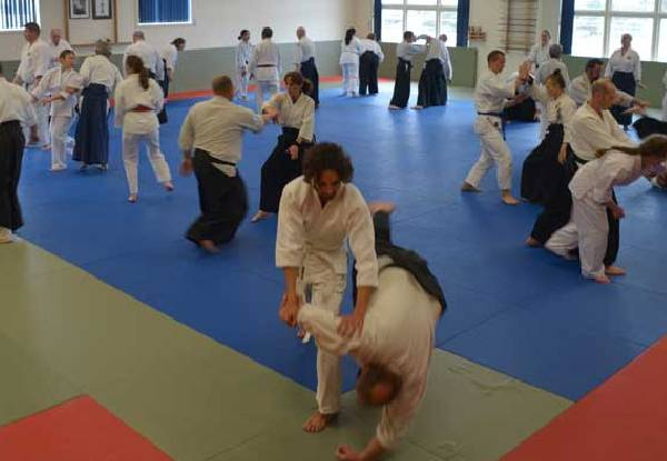 12 Weeks of Beginners' Aikido Classes - Starting 7 June 2021