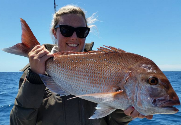 All-Inclusive Half-Day Fishing Charter For One - Options for up to Five People or Private Charter