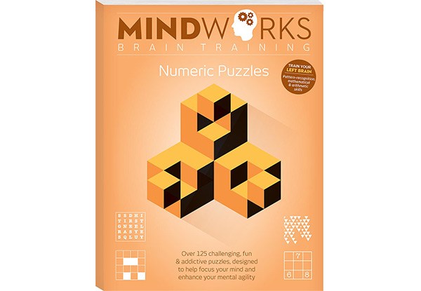 Mindworks Numeric Puzzle