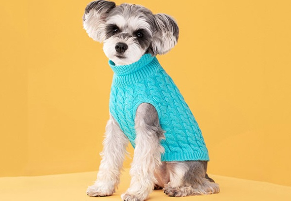 Dog's Candy Colour Sweater - Available in Seven Colours & Five Sizes