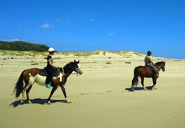 $49 for a One-Hour Beach Horse Ride for One Person or $95 for Two People - Options for 1.5-Hour Trek