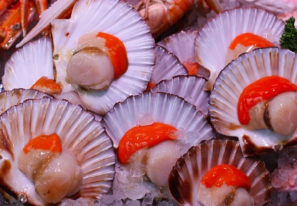 1Kg of Whangamata Scallops Frozen - Pick-Up Only from Auckland on 19th December 2020