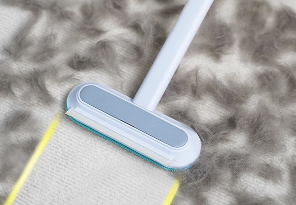 Two-Pack Reusable Sofa & Carpet Pet Hair Remover - Available in Two Sizes