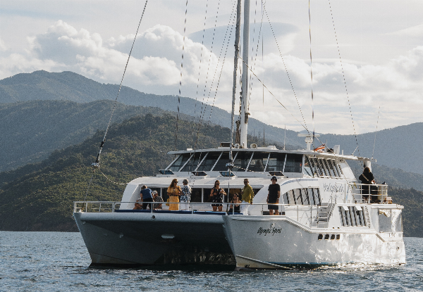 Half-Day Seafood Odyssea Cruise in the Marlborough Sounds - Options for Adult or Child Ticket