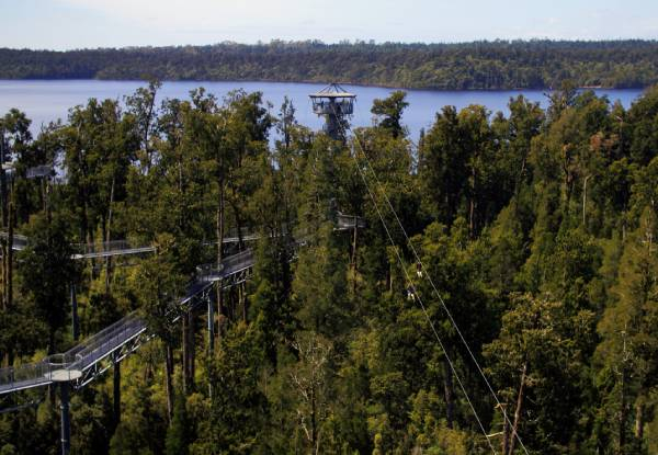 Adult Pass to The West Coast Treetop Walkway - Option for Child or Senior