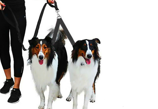 Dual Lead Walk Dog Leash - Available in Three Colours & Three Sizes