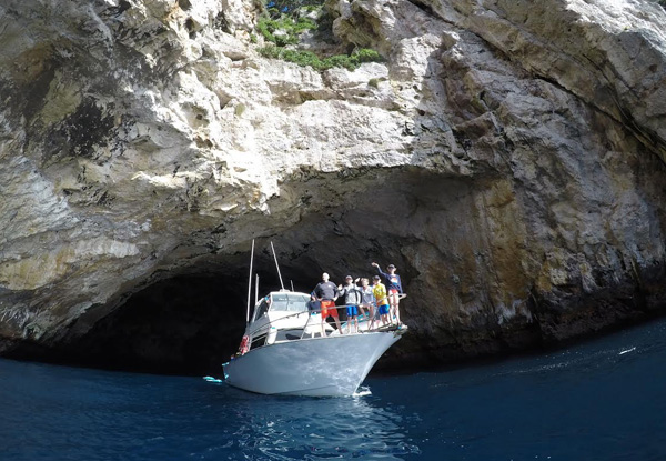 Full Day Luxury Boat Trip to the Poor Knights Islands for One incl. Lunch, SUP Hire & Guided Exploration - Options for Two, Four or Eight People Available