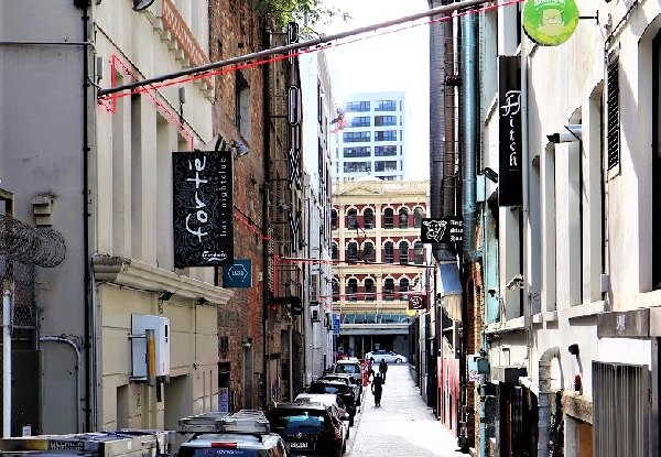Auckland Guided Half-Day Walking Tour for One Adult - Options for up to Six People