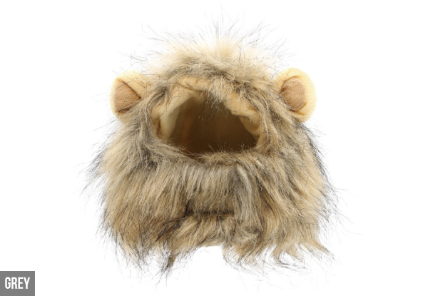 Pet's Lion Mane - Five Colours Available with Free Delivery