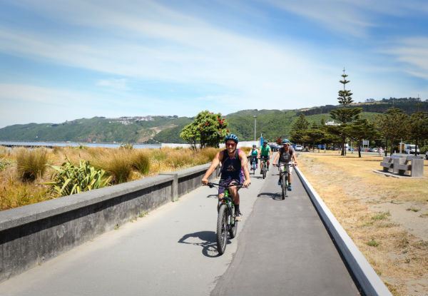 Three-Hour Bike Hire - Option for Electric Bike Hire