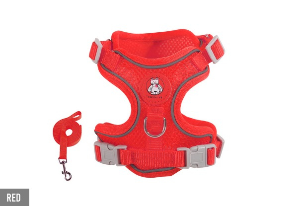 Pet Harness with Leash Set - Three Sizes & Four Colours Available