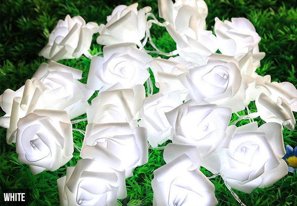 $10 for 20 LED Rose Fairy Lights Available in Five Colours