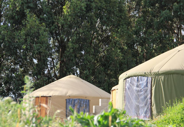 Two Nights Glamping at Oasis Yurt Lodge incl. a Continental Breakfast Hamper for Two People - Option for Four People