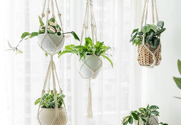 Double Plant Pot Hanging Rope • GrabOne NZ