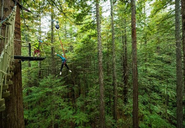 Guided Redwoods Altitude Experience for Adult or Child incl. Ziplining & 25-Metre High Guide