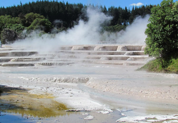 Adult Wairakei Terraces Walkway Entry - Option for Child or Family Available