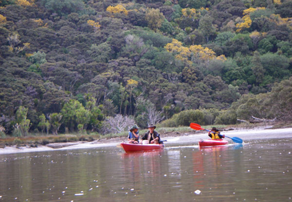 Full Day Kayak Hire incl. Life Jacket & Safety Gear on the Hoteo River for One Person - Options for Two People in a Double Kayak, or Three Adults or Two Adults & Two Children in a Canadian Kayak