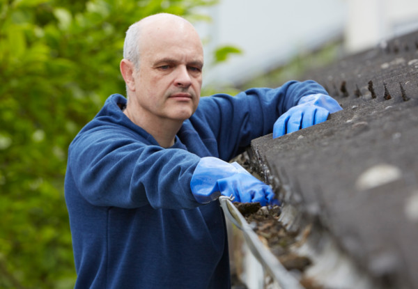 Roof Treatment for Moss, Mould, Lichen, Roof & Gutter Inspection - Options for up to Three or Four Bedrooms