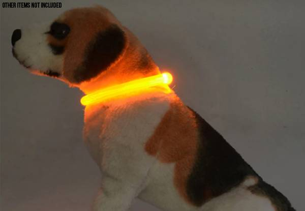 Pet Flashing Collar - Two Sizes Available