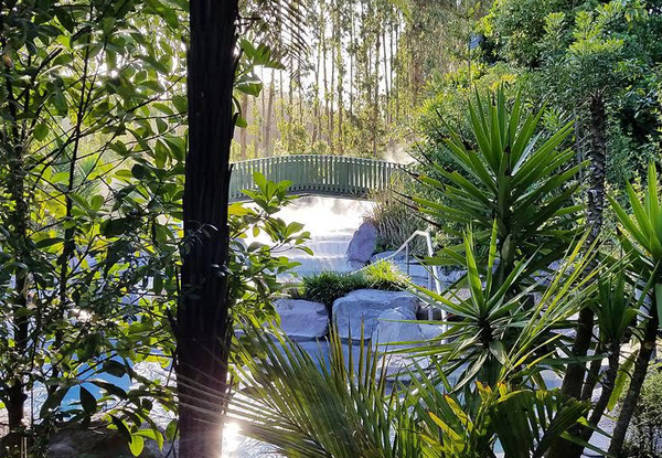 Adult, Child or Family Wairakei Terraces Walkway Entry