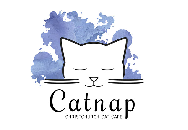 Cat Cuddles & Coffee at Catnap Cafe incl. One-Hour in the Cat Room & One Regular Hot Drink for One-Person - Option for Two People Available, Valid Tuesday to Friday