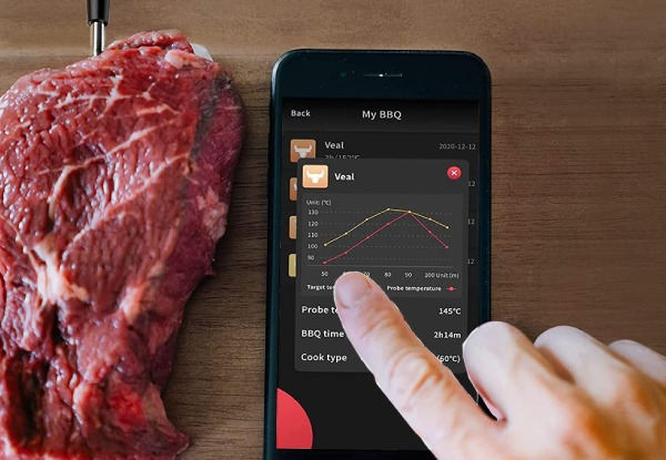 Wireless Meat Thermometer with 300ft Range