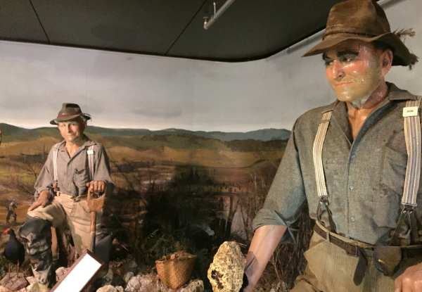 Entry to The Famous Kauri Museum for Two Adults, Students, or Senior Citizens - Options for Family Passes