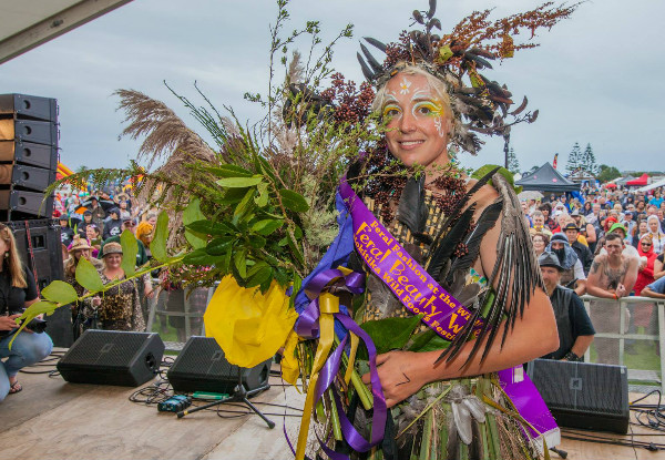 One Adult Entry to the Hokitika Wildfoods Festival incl. Entry to the Afterparty on the 10th of March 2018