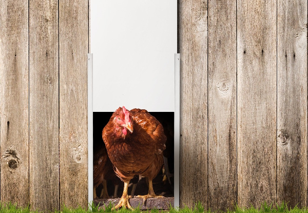 Automatic Chicken Door