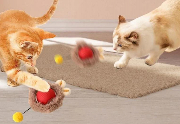 Electric Ball Motion Activate Chirping Cat Toy - Option for Two Sets