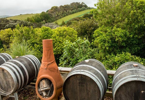 $59 for a Half-Day Wine Tour incl. Premium Tastings at Three Top Vineyards (value up to $129)