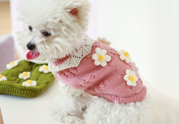 Dog's Winter Coat Sweater Hoodie - Available in Two Colours & Five Sizes