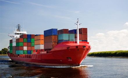 $49 for Customs Broker Services on Imported Goods – Business or Personal (value up to $100)