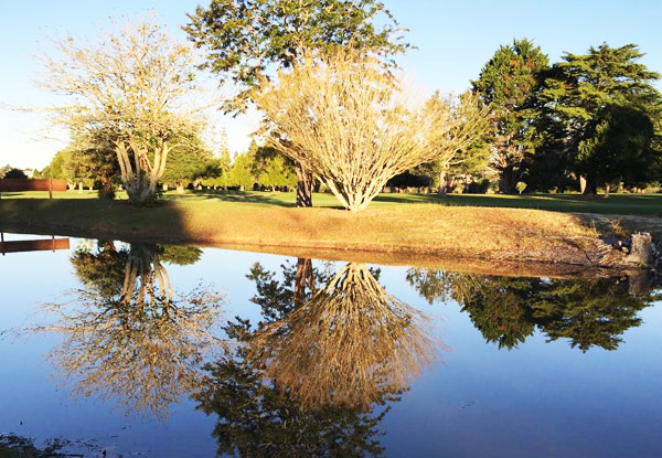 $25 for an 18-Hole Round of Golf for One Person on the Stunning Bay Of Islands Golf Course, Kerikeri - Options for Two People & Two People with a Golf Cart