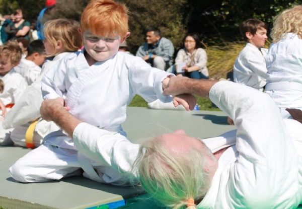 Nine-Week Children's Aikido Beginners Course