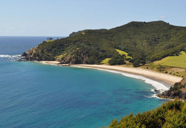 $279 for a Return Ferry Trip for One Car & Two Adults to Great Barrier Island (value up to $540)