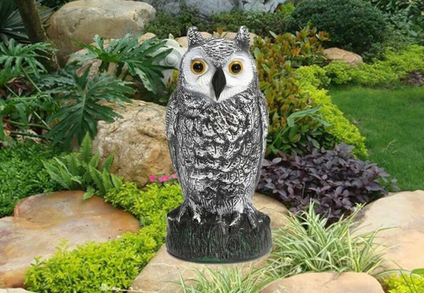 Large Garden Owl Decoy - Available in Two Colours