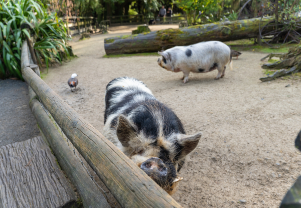 Adult Admission to Staglands Wildlife Reserve - Open Seven Days