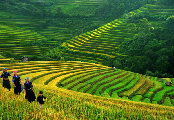 Per-Person Twin-Share for a Five-Day Northwest Vietnam Motorbike Tour incl. English Speaking Guide, Safety Gear, Gas & Sightseeing