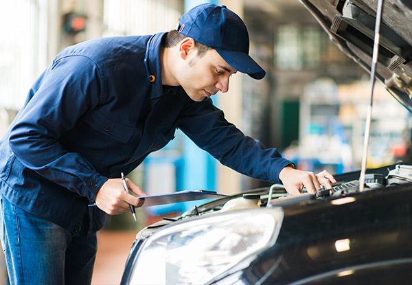 Comprehensive Service for Japanese Cars incl. Oil & Filter Change, Engine Flush & More - Option to incl. W.O.F.