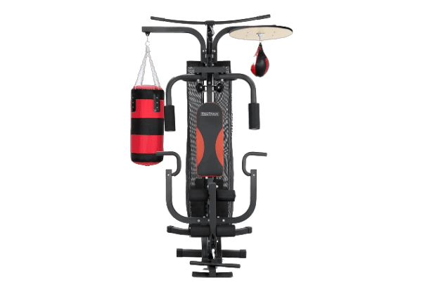 110Lbs Multifunction Home Gym