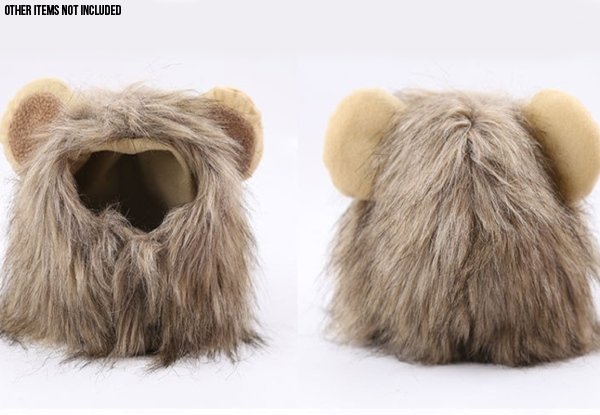 Lion Costume for Cat or Puppy - Three Sizes Available & Option for Two