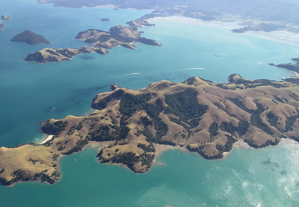 Waiheke Island Scenic Flight - Family Deal for Two Adults & One Child - Option for 45-Minute Flight