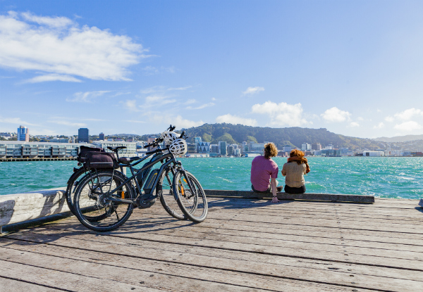 The Ultimate Wellington Bays & Petone Full-Day eBike Adventure - Options for Two & Four People