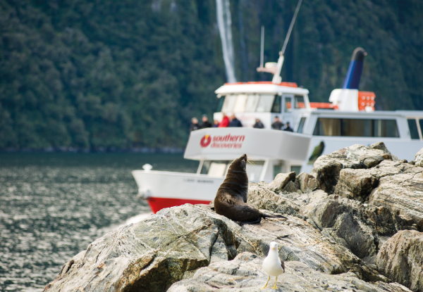 Milford Sound Coach & Nature Cruise incl. Lunch Departing from Queenstown & A Spirit of Queenstown Lake Wakatipu Cruise - Options for up to Four People