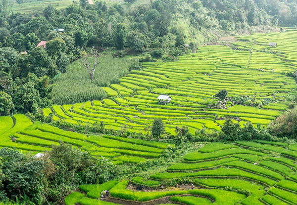 Per-Person, Twin-Share 11-Night Thailand Tour for Adventure Seekers incl.Transport, Cycling Tours, Trekking, Kayaking Tour & More